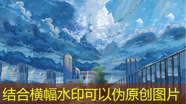 跆拳道护具男款
