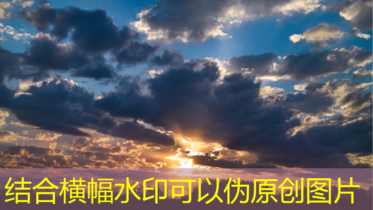 漯河操场塑胶跑道报价