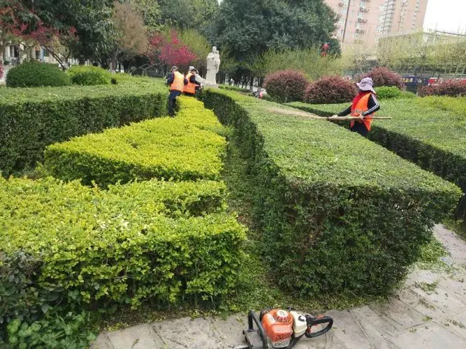 米乐：合力发球怎么接乒乓网球拍
