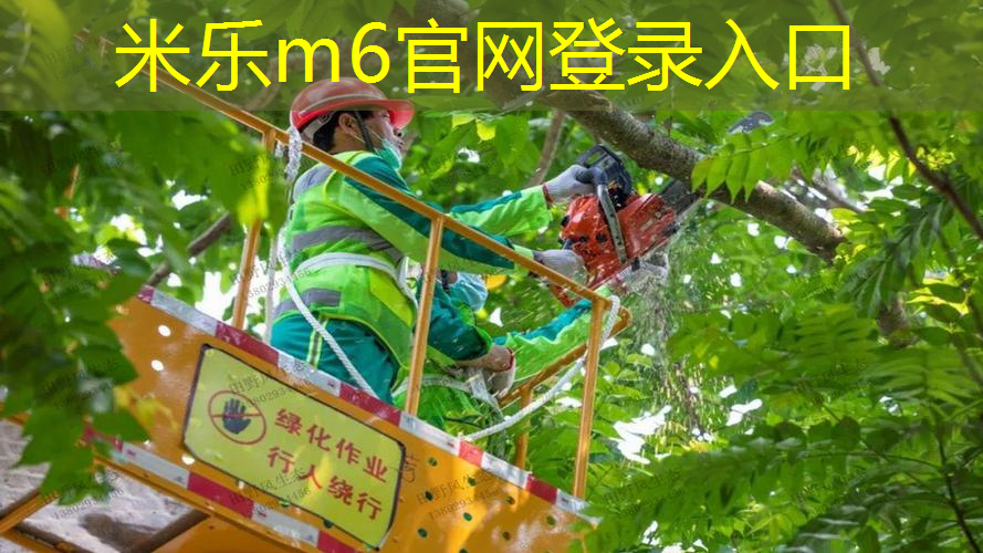 mile·米乐m6：网球拍线上有毛刺正常吗_