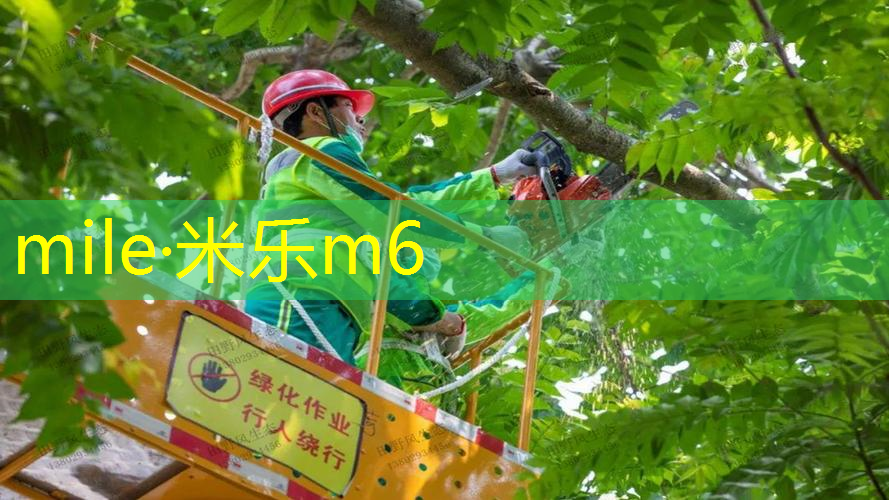 体育课网球拍选择什么材质