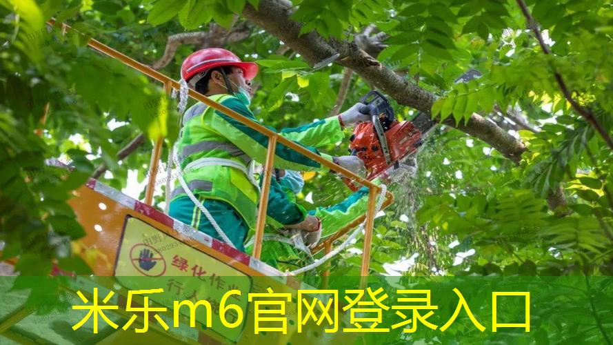 网球拍轴旋转原理图讲解