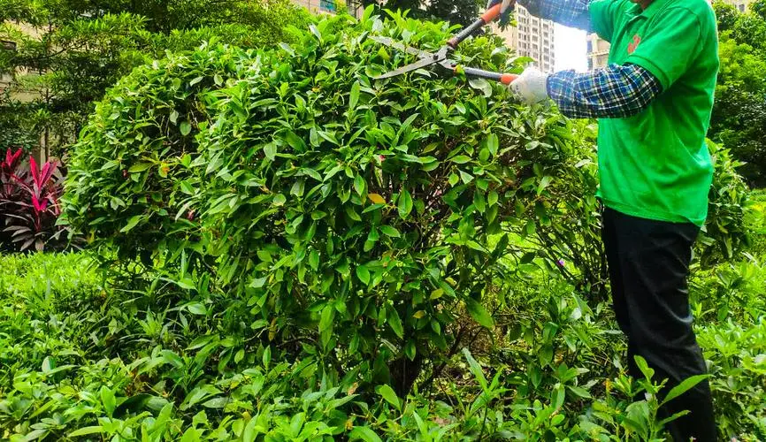 一般都有几把网球拍子的